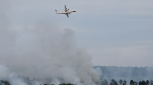 Bretagne: l'incendie dans la forêt de Brocéliande est fixé