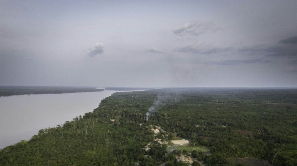 En RDC, des communaut&eacute;s s'unissent face &agrave; la ru&eacute;e sur leurs for&ecirc;ts