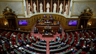 Pouvoir d'achat: le budget rectificatif au S&eacute;nat avec la taxe sur les "superprofits"