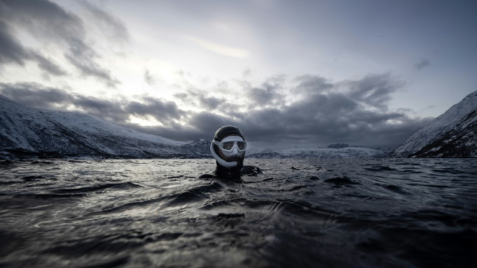 Dans les eaux glac&eacute;es de Norv&egrave;ge, l'apn&eacute;iste Gu&eacute;rin-Bo&euml;ri danse avec les orques