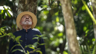 Lula dice di temere che Trump voglia 'prendersi l'Amazzonia'