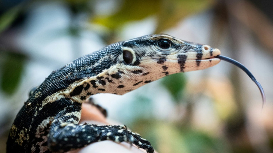 Et l'ancêtre des animaux terrestres sortit de l'eau, pour toujours