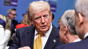 Trump, 'io e Zelensky abbiamo sviluppato buon rapporto dallo Studio Ovale a oggi'