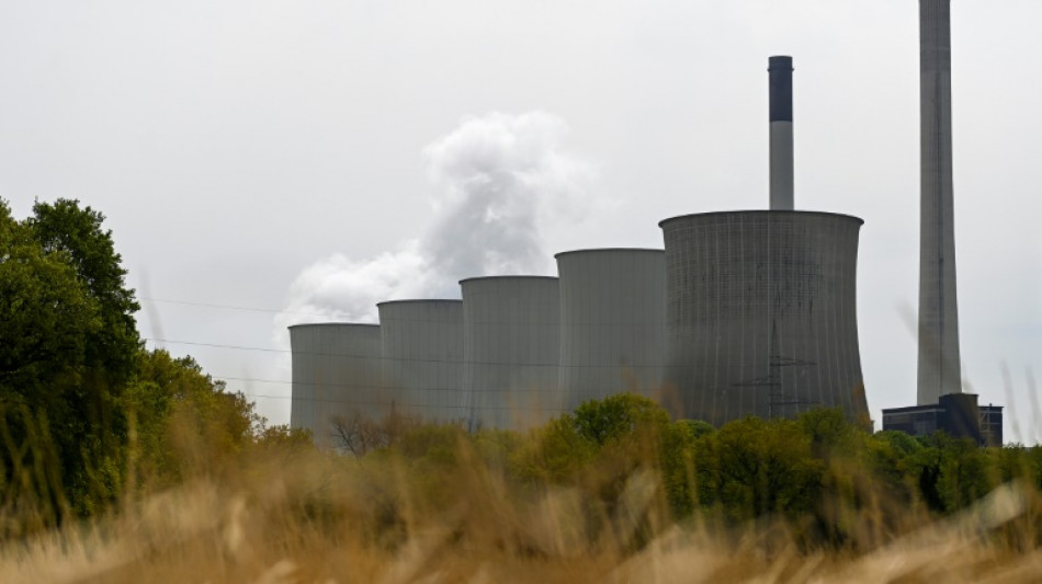 RWE-Chef fordert schnellstmögliche Reaktivierung von Kohlekraftwerken