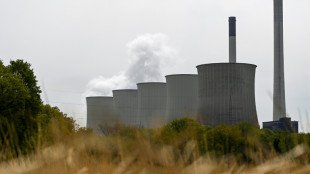 RWE-Chef fordert schnellstmögliche Reaktivierung von Kohlekraftwerken