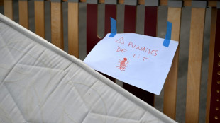 Punaises de lit: les autorit&eacute;s alertent les consommateurs sur un insecticide interdit en France
