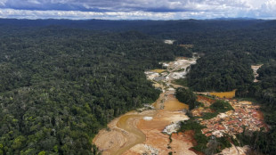 Morte de indígena Yanomami em conflito com garimpeiros é investigada