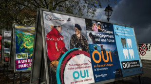 Swiss to vote on compulsory civic duty for all