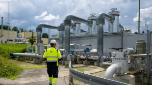 Gutachten der Bundesnetzagentur rechtfertigt staatliche Gaseink&auml;ufe 2022
