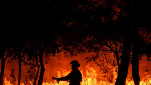 In Frankreich w&auml;chst die Sorge vor einem extrem trockenem Sommer