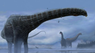 Le règne des dinosaures a pris fin au printemps