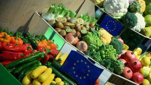 Berliner Tafel sammelt auf Gr&uuml;ner Woche sechs Tonnen Lebensmittel ein