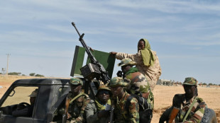 El ej&eacute;rcito de N&iacute;ger mata a 30 "terroristas" nigerianos de Boko Haram