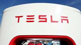 Tesla-Chef Musk pr&auml;sentiert sein Cybercab - Produktion soll "vor 2027" starten