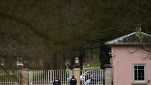 Epstein-Aff&auml;re: Britische Ermittler setzen Durchsuchungen in Windsor fort