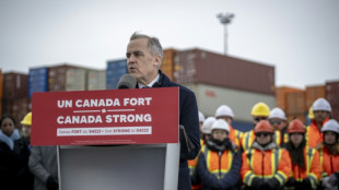Liberal PM Carney takes lead four weeks before Canada vote