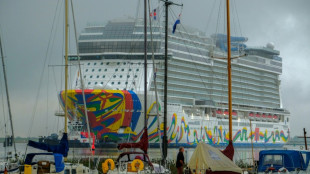 Niedersachsens Regierung beschlie&szlig;t Einstieg bei der kriselnden Meyer Werft 