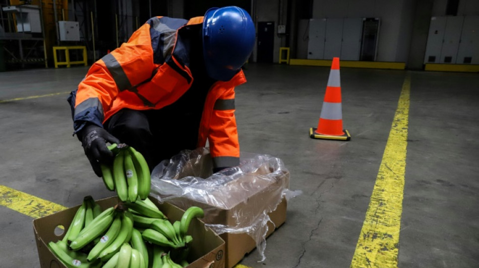 Habitantes de Amberes desesperados ante el aumento de la inseguridad por el narcotr&aacute;fico