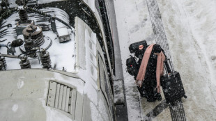 Hamburg-Berlin: Bahn k&uuml;ndigt vollst&auml;ndige Wiederinbetriebnahme f&uuml;r Mitte Juni an