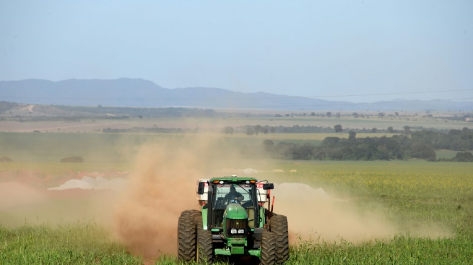 Guerre en Ukraine: le Br&eacute;sil se tourne vers les engrais naturels