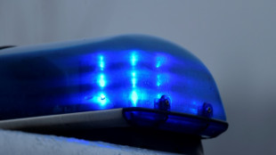 Aus Zirkus entflohenes Lama spaziert in Rheinland-Pfalz Straße entlang
