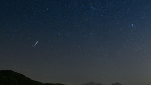 Via Lattea rubò le stelle altra galassia, fusione in più volte