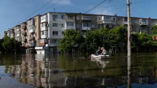Ukrainischer Regierungschef wirft Russland nach Staudammbruch "&Ouml;kozid" vor 
