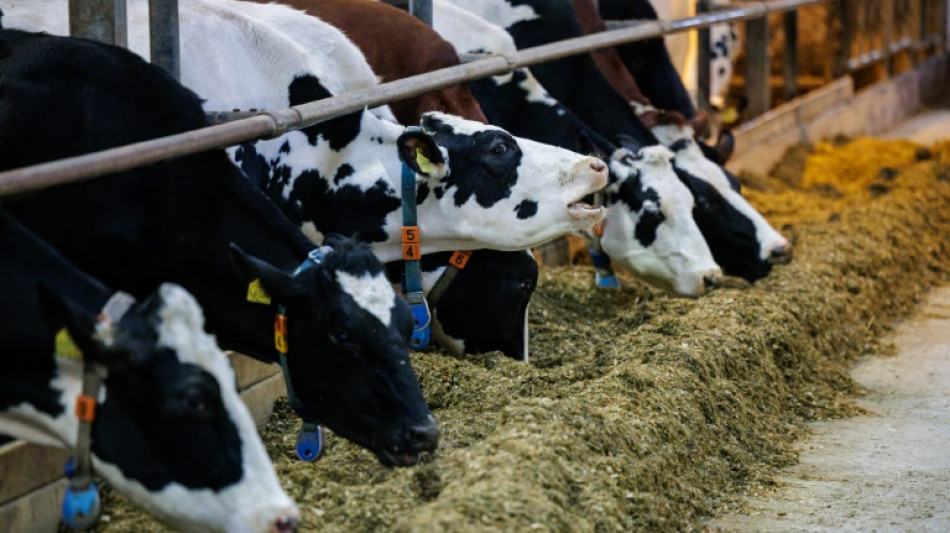 Konsum von Milch und Milchprodukten weiter gesunken