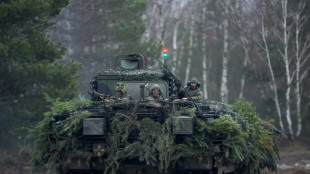 Bundestag bewilligt trotz Bedenken Milliardenmittel f&uuml;r Kauf neuer Puma-Panzer