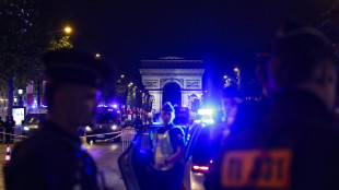 Nach Finaleinzug: Krawalle und Verletzte in Paris