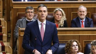 Sanchez, 'pressione su Israele affinché fermi massacro Gaza'