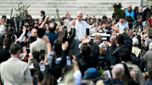 Papa faz alerta no Domingo de Ramos contra a guerra