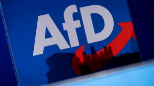 Erwerbspersonenbefragung: AfD-W&auml;hler von Krisen st&auml;rker verunsichert als andere