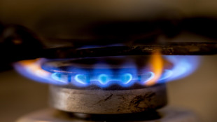 Il prezzo del gas apre in rialzo a 35,47 euro