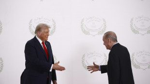 Ankara, 'Trump ha invitato Erdogan a far parte del Board per Gaza'