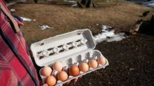 Preis f&uuml;r Eier in Deutschland vergleichsweise moderat gestiegen 