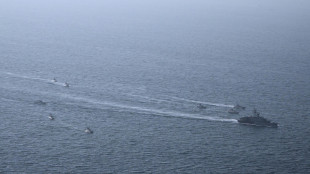 Pasdaran, 'abbiamo il controllo totale dello stretto di Hormuz'