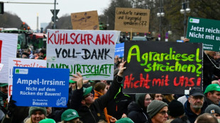 Spediteure warnen wegen Agrar-Aktionswoche im Januar vor Versorgungsengp&auml;ssen