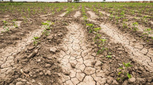 Teha, la crisi idrica in Italia costa 13 miliardi l'anno