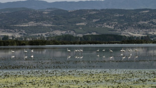 Dans le nord de la Gr&egrave;ce, la puanteur et l'inqui&eacute;tude autour des lacs ass&eacute;ch&eacute;s