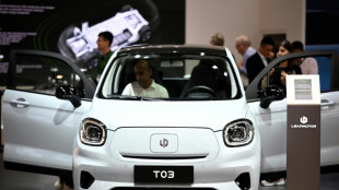 China bekr&auml;ftigt Kritk an EU-Untersuchung zu Elektroautos