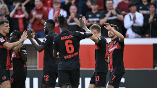 Leverkusen mit bestem Saisonstart - VfB-H&ouml;henflug h&auml;lt an