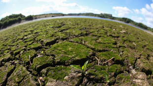 Il 40% della Terra &egrave; destinato a diventare arido entro il 2100