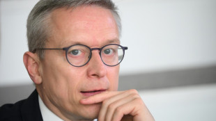 Digitalminister Wildberger will "Modernisierungsagenda" noch dieses Jahr vorstellen