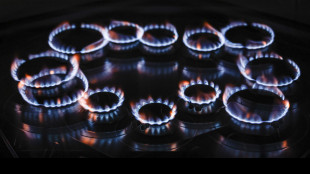 Il gas accelera verso i 33 euro sul mercato Ttf di Amsterdam