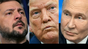 Trump estime que Poutine "est devenu complètement fou" après des attaques meurtrières en Ukraine