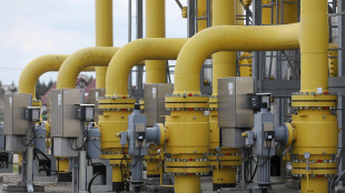 Il gas conclude in calo (-1,8%) a 40,2 euro al Megawattora