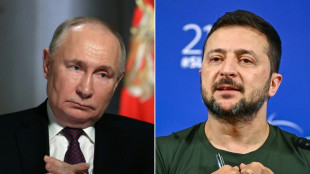 Türkei drängt Russland und Ukraine zu schnellstmöglichen Waffenruhe-Gesprächen