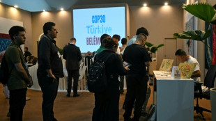 Australia dice que no vetar&aacute; a Turqu&iacute;a como sede de la COP de 2026