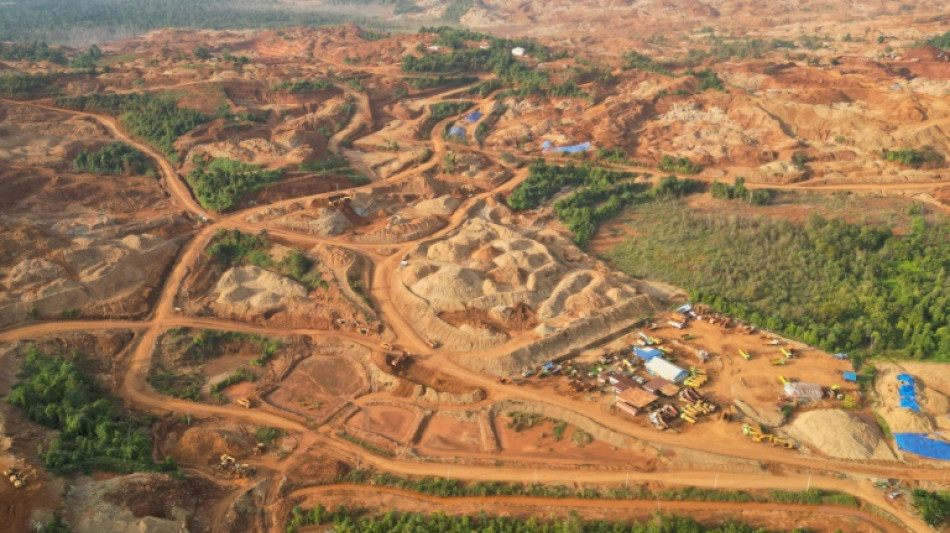 Satelliten-Analyse: Riesige Waldfl&auml;chen in Indonesien f&uuml;r den Bergbau gerordet